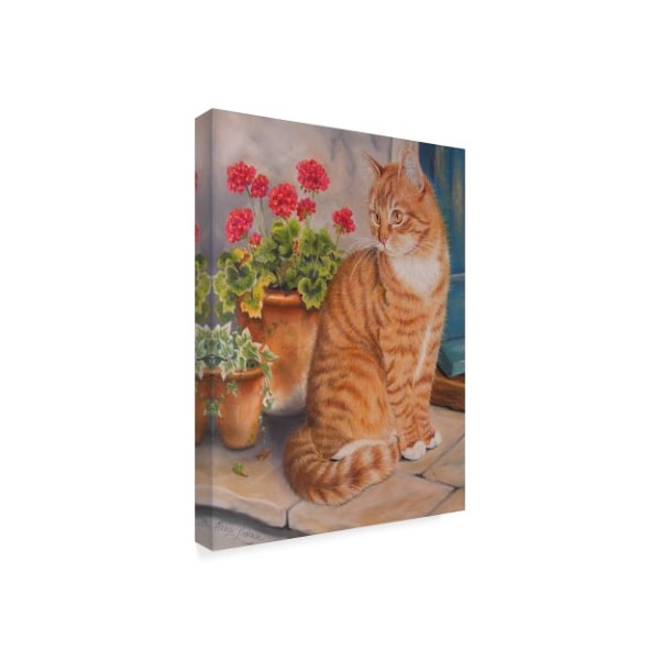 Janet Pidoux 'Ginger Cat On Doorstep' Canvas Art,35x47